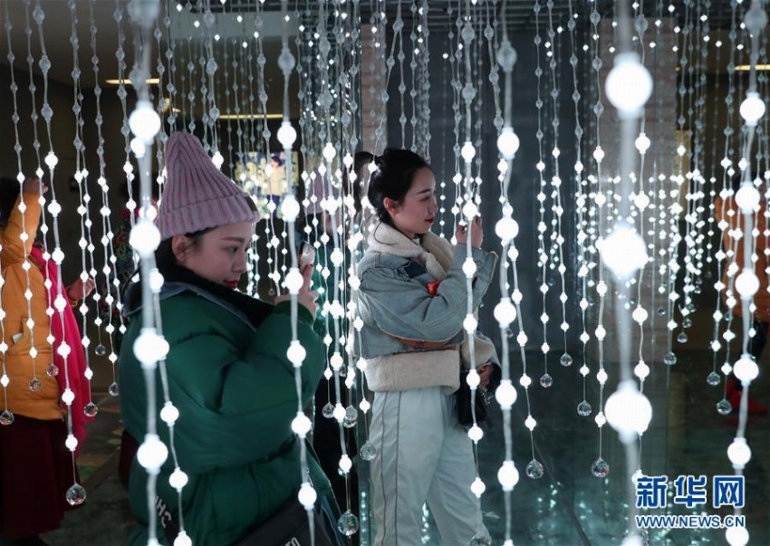 「國際恐竜ランタン祭り」開幕　四川自貢