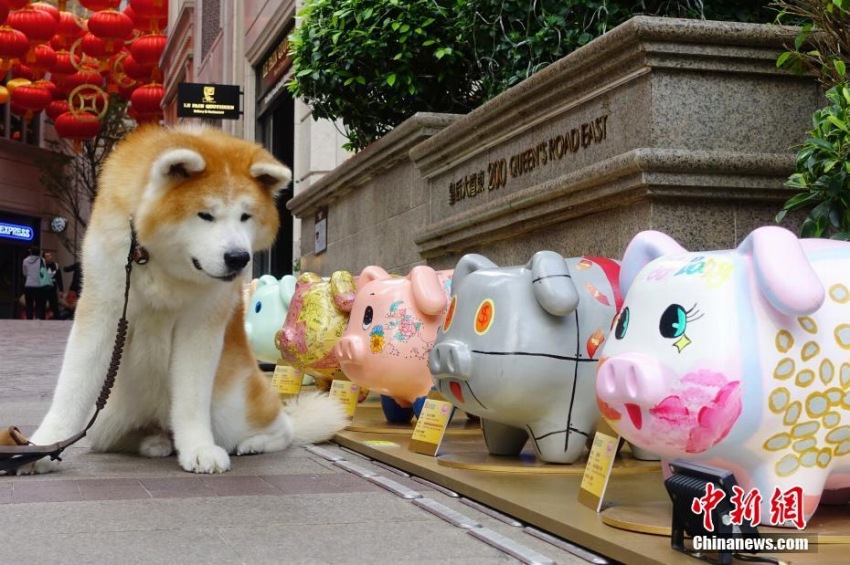 春節(jié)気分をたっぷり味わえる香港地區(qū)