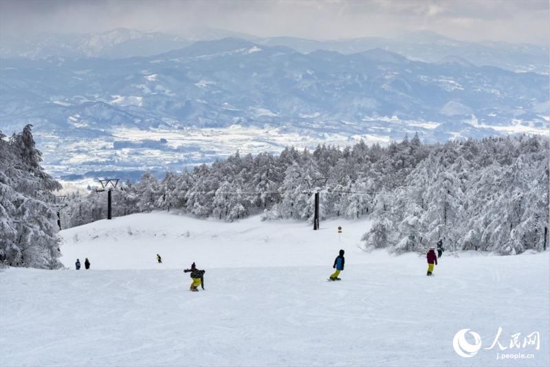 最上部に広がる美しい樹氷原　山形県山形市の蔵王溫泉スキー場