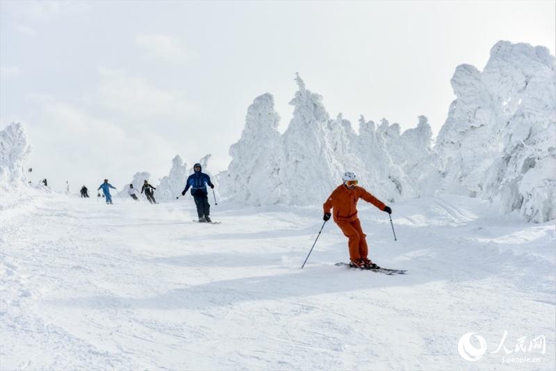 最上部に広がる美しい樹氷原　山形県山形市の蔵王溫泉スキー場