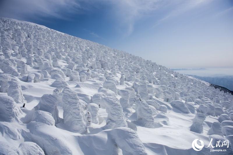 最上部に広がる美しい樹氷原　山形県山形市の蔵王溫泉スキー場