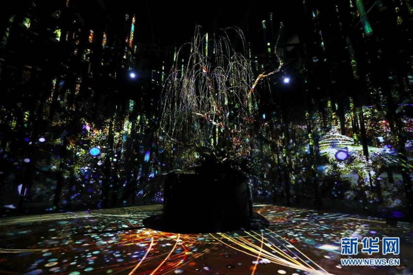 一足先に「お花見気分」楽しむ體験型アート展　東京