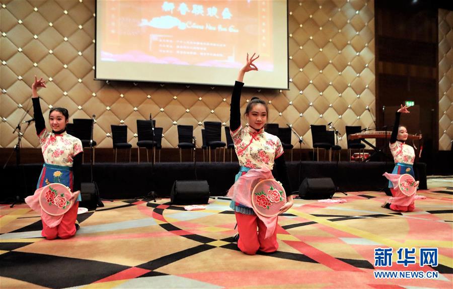 駐外大使館?領(lǐng)事館で新春招待會　舊暦亥年をお祝い