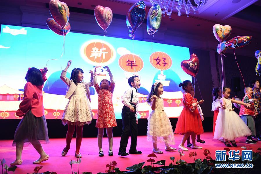 駐外大使館?領(lǐng)事館で新春招待會　舊暦亥年をお祝い