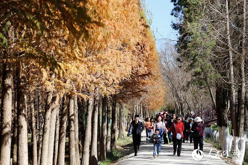雲(yún)南?昆明　快晴続き陽光きらめく春節(jié)に