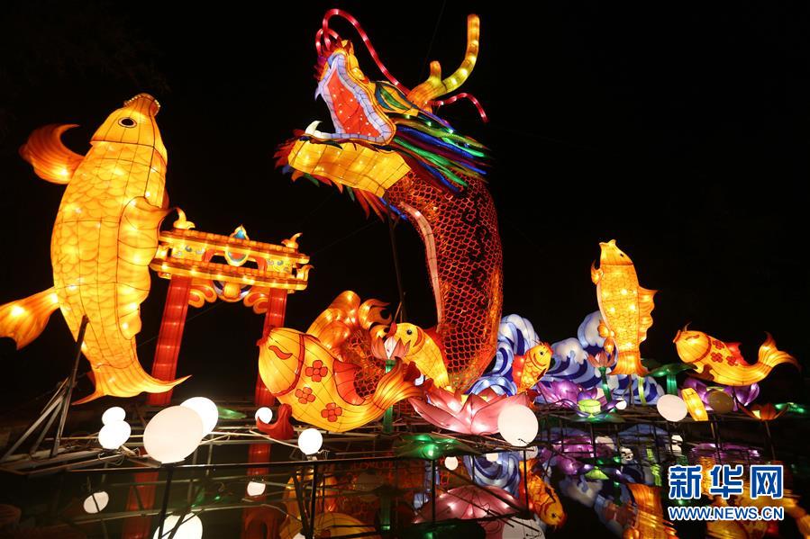 春節(jié)を迎え全國(guó)各地で提燈を飾りお祝い