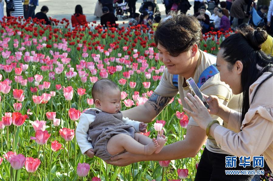 花を眺めて新年を迎える　各地で花満開