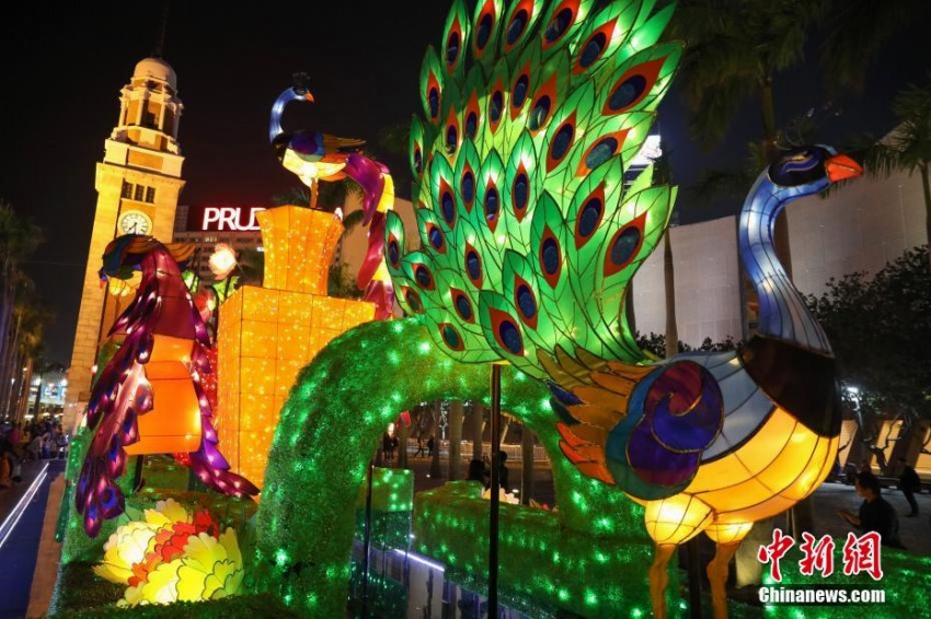 元宵節(jié)祝うあでやかなクジャクをかたどったランタン　香港地區(qū)