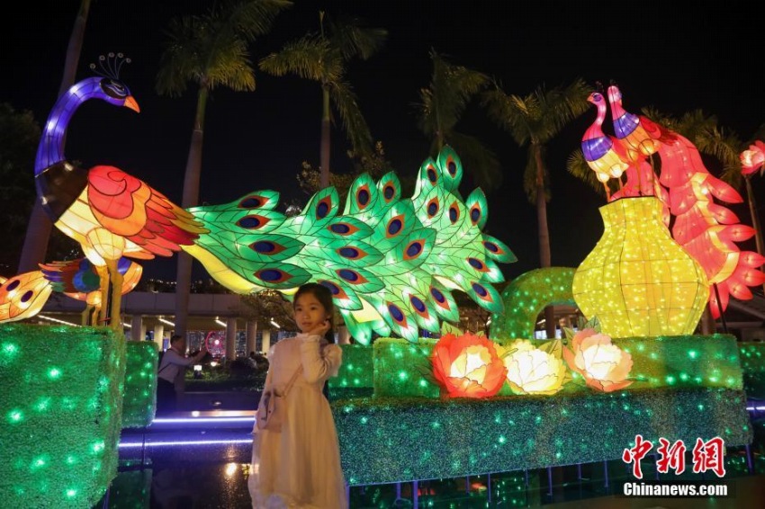 元宵節(jié)祝うあでやかなクジャクをかたどったランタン　香港地區(qū)