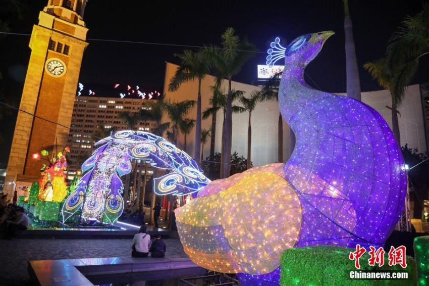 元宵節(jié)祝うあでやかなクジャクをかたどったランタン　香港地區(qū)