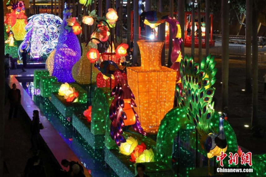 元宵節(jié)祝うあでやかなクジャクをかたどったランタン　香港地區(qū)