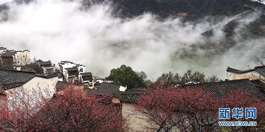 江西省の村、もやと梅、古民家がコラボする絶景