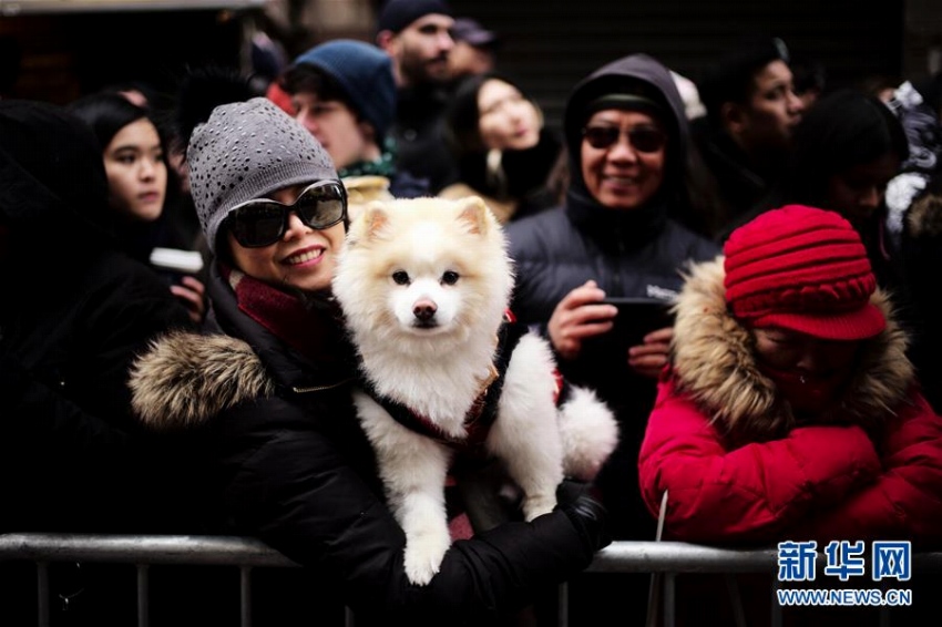 NYチャイナタウンで新春大パレード