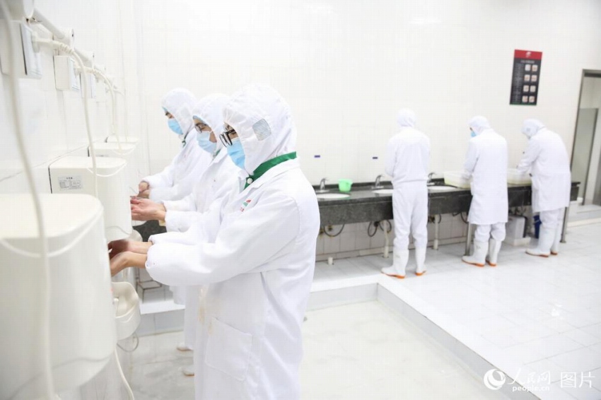 中國(guó)の高速鉄道で販売される弁當(dāng)の工場(chǎng)を訪ねる