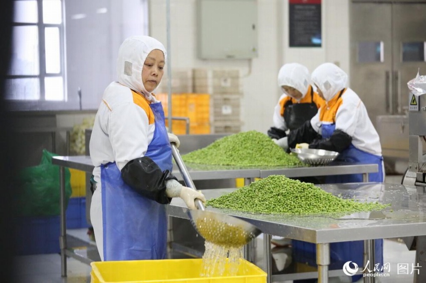 中國(guó)の高速鉄道で販売される弁當(dāng)の工場(chǎng)を訪ねる