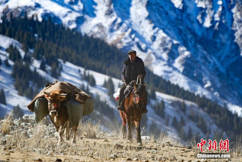 新疆遊牧民の春の大移動(dòng)　まるで壯大な絵巻物