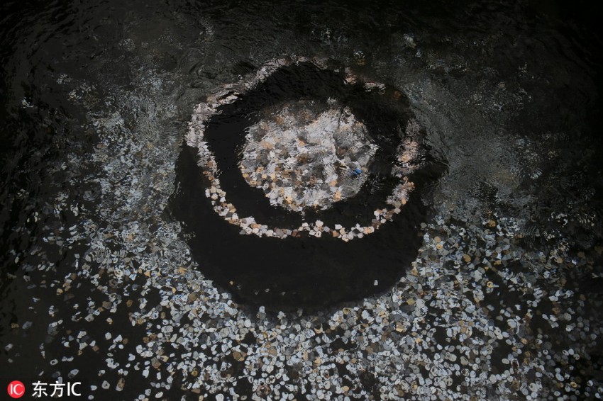 まるで「お金が湧き出る泉」のようになってしまった泉の様子（寫真提供?東方IC）。