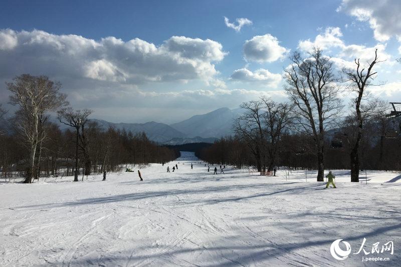 美しい雪景色とスキーを堪能　「東北地方スキー體験ツアー」