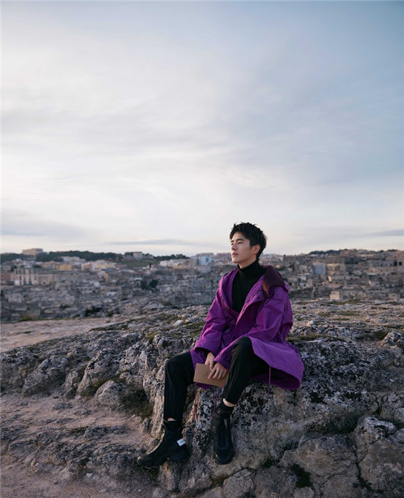 若手俳優(yōu)の劉昊然がイタリア観光大使に