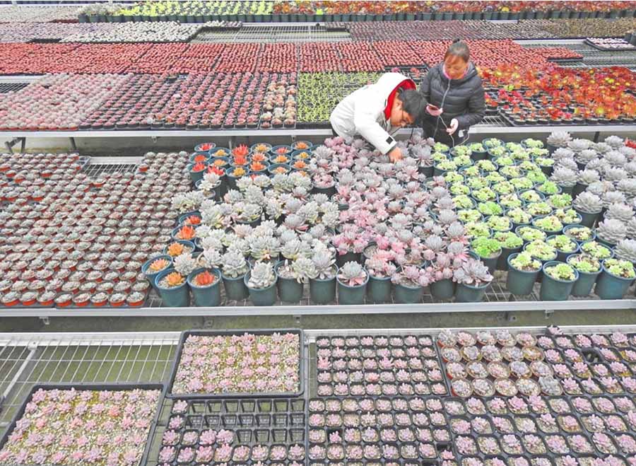 中國IT界の代表?委員「実體経済のデジタル化を加速」