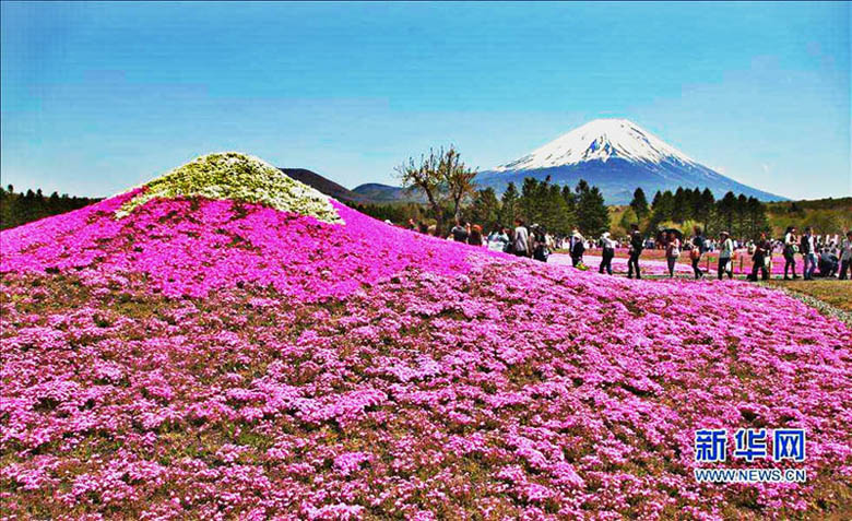 2019年版「ベストカントリーランキング」発表　日本が2位に