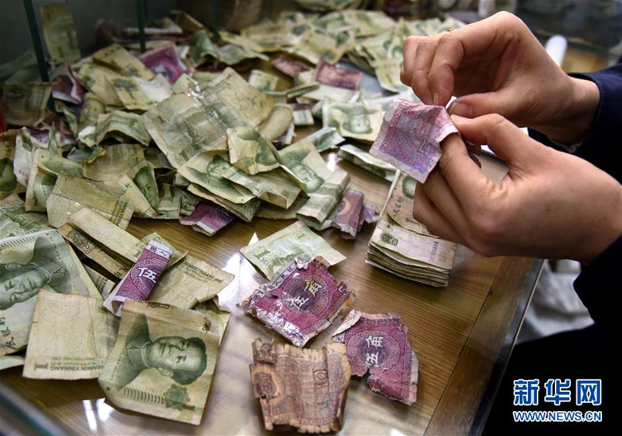 「塵も積もれば山となる」損傷紙幣修復(fù)技術(shù)者の孫霞さん