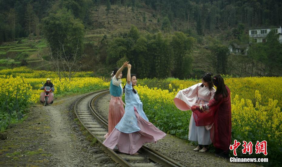 春に向かって菜の花畑を進(jìn)む懐かしのSL　四川省