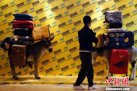 上海で體験型ホームインテリア展示する「ドリームライフスタイル展」開幕