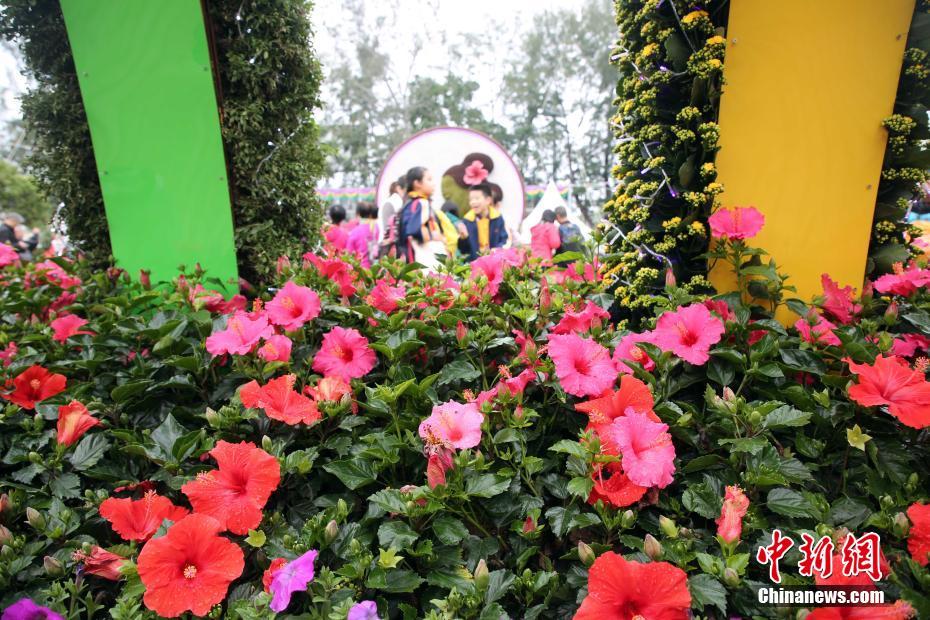 香港フラワーショーが開幕