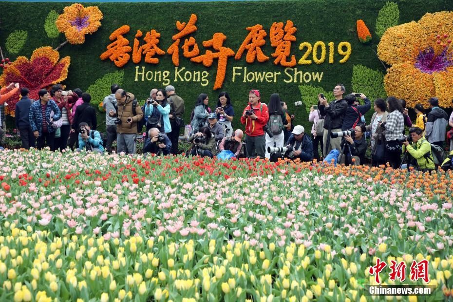 香港フラワーショーが開(kāi)幕