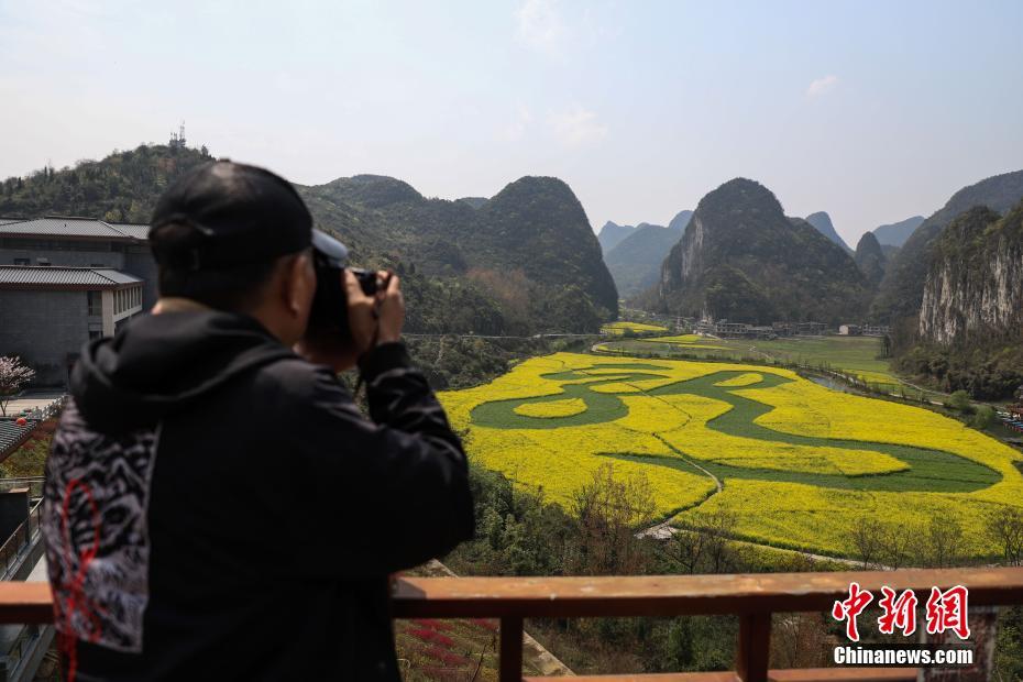 満開の菜の花畑に浮かぶ「龍」の文字　貴州省安順市
