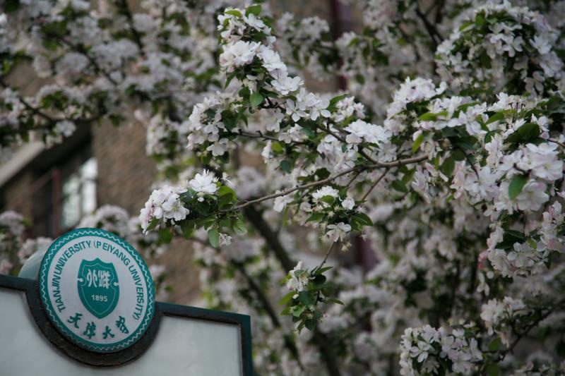 全國各地の大學(xué)キャンパス、春爛漫の景色に