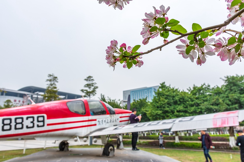 全國各地の大學(xué)キャンパス、春爛漫の景色に