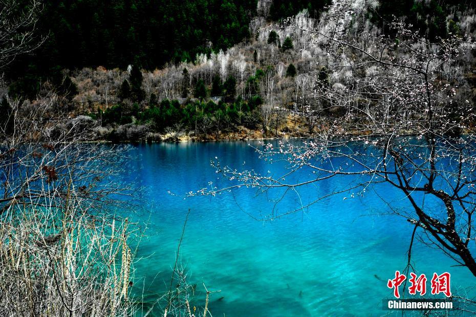 春の九寨溝、息を呑むほどの美しさ　四川省