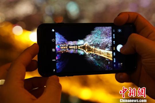 光と影と桜の見(jiàn)事なコラボ　無(wú)錫太湖の夜桜ライトアップ