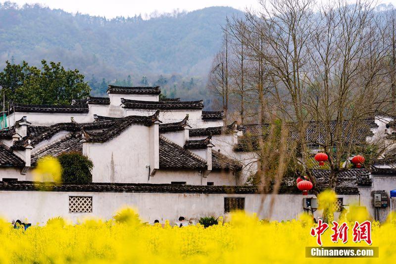 菜の花に囲まれた徽州建築　安徽省