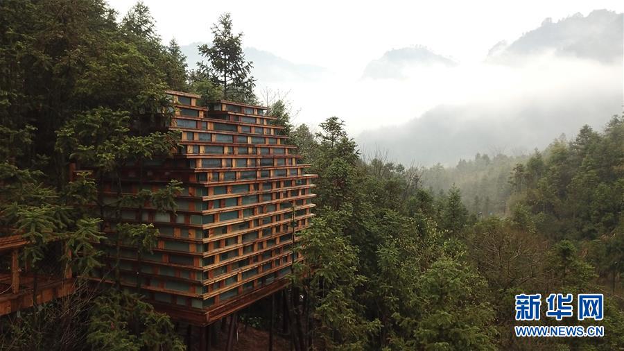 山林の中に建つ「ツリーハウス」　安徽省