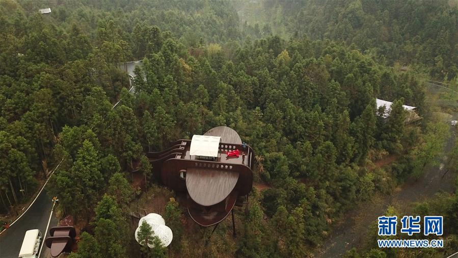 山林の中に建つ「ツリーハウス」　安徽省