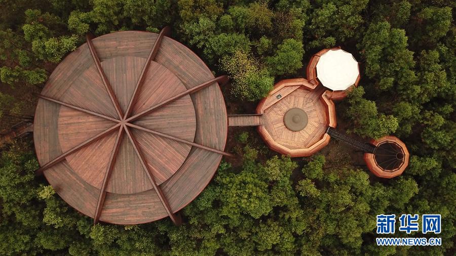 山林の中に建つ「ツリーハウス」　安徽省