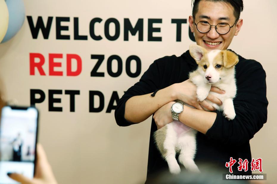 「ペット同伴出勤日」で社員のストレス軽減図る上海のある企業(yè)