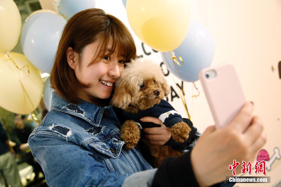 「ペット同伴出勤日」で社員のストレス軽減図る上海のある企業(yè)