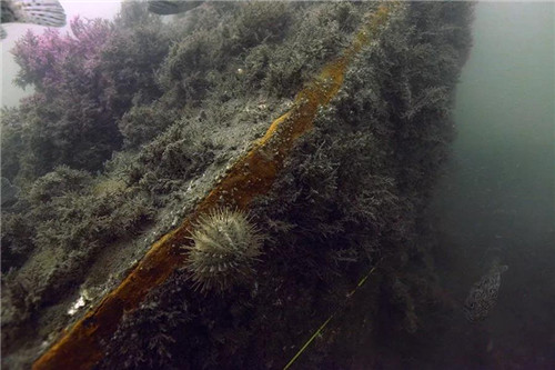 2018年度の「中國十大考古新発見」が発表、経遠(yuǎn)艦が入選