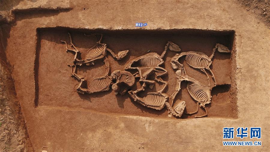 西周の庶民の墓地から數(shù)千點(diǎn)以上の副葬品　河南省三門(mén)峽