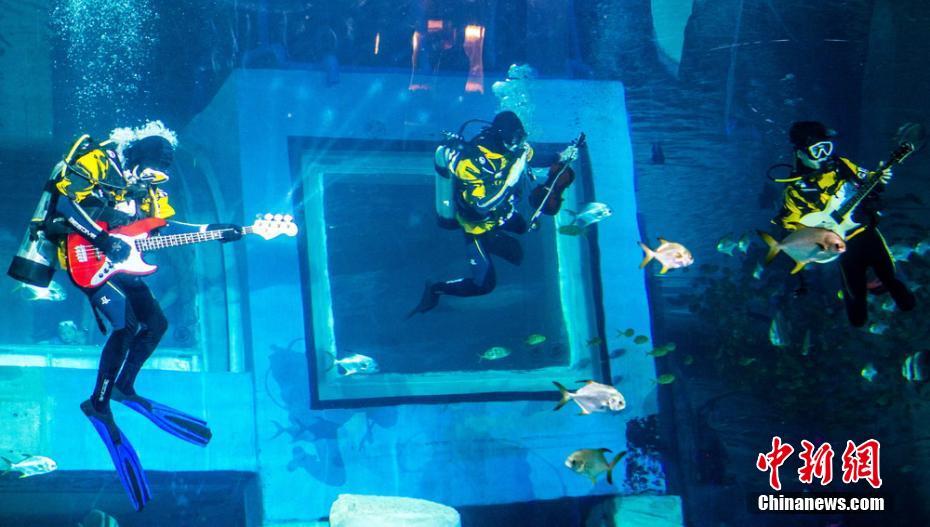 水中のミュージシャン登場(chǎng)！水族館のダイバーが見事なパフォーマンス　広東