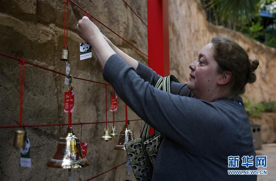 米サンディエゴの2頭のパンダ、中國(guó)に帰國(guó)へ