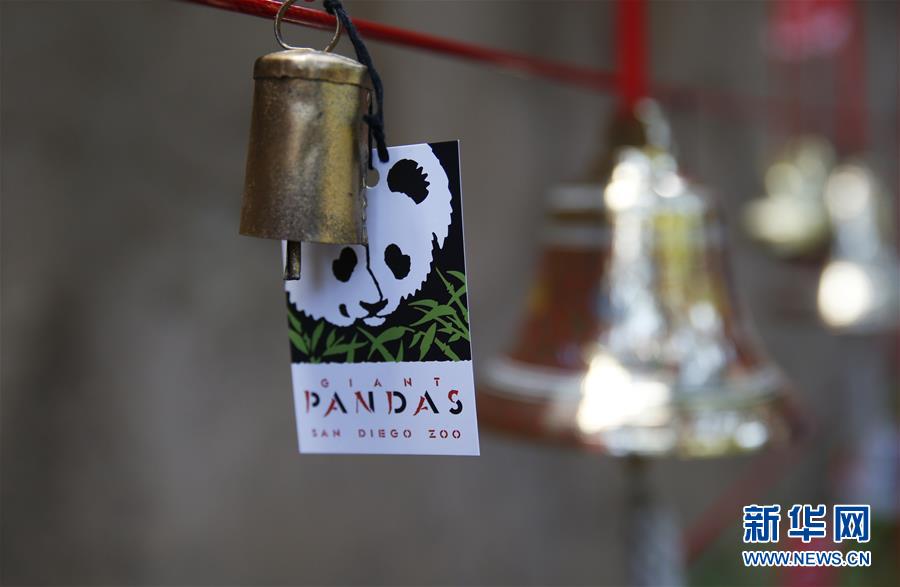 米サンディエゴの2頭のパンダ、中國に帰國へ