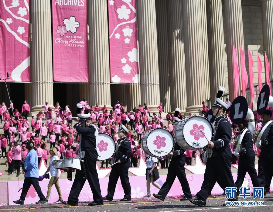 サクラサク！米ワシントンで全米桜祭り