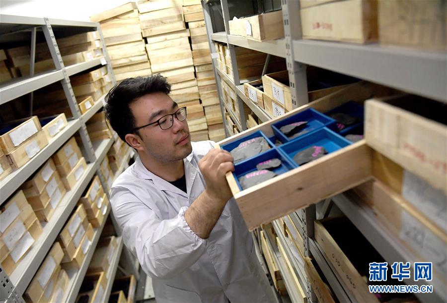 中國の科學者がカンブリア紀の「化石の寶庫」清江生物群を発見