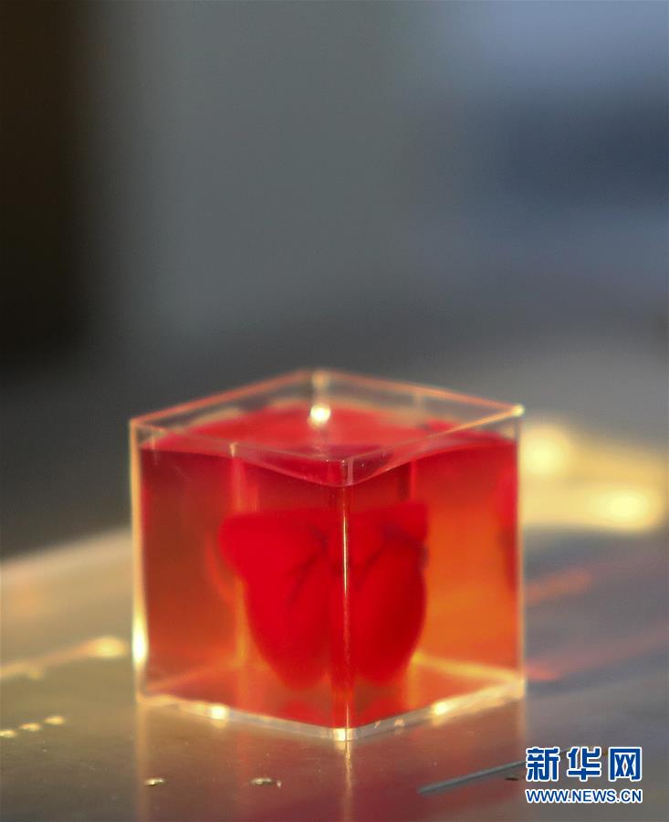 イスラエルの研究者が3Dプリンターで世界初の心臓を作成