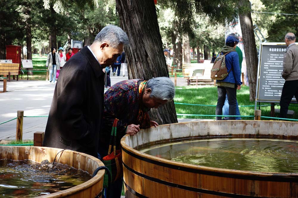 アイスを食べながら牡丹を愛でよう！北京市景山公園